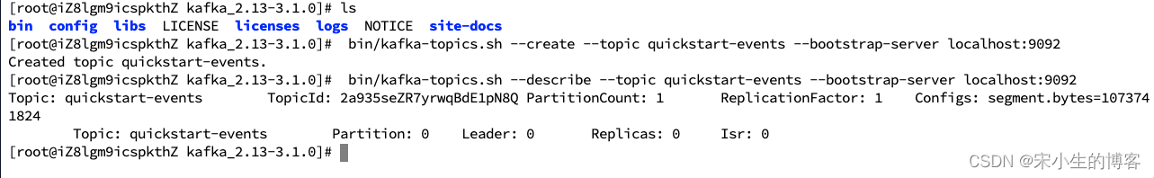1-kafka-topic-describe.png